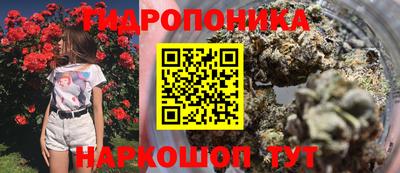 сатива Нягань