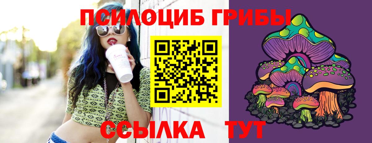 Галлюциногенные грибы GOLDEN TEACHER Тайшет